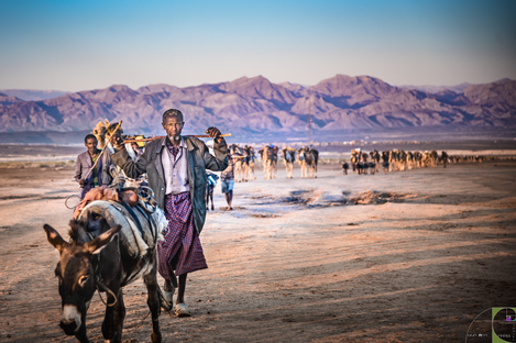 La-carovana-Dancalia-Etiopia.png