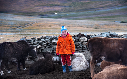 Mongolia,-Pastore-Bambino.png