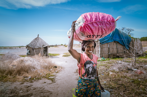 Piantagione baobab Senegal Africa.png