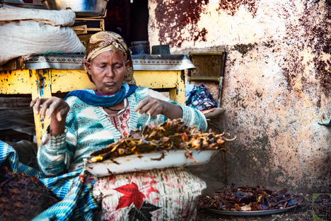 Donna e Berberè Asmara.png