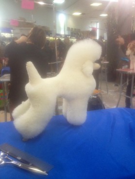 WhatsApp Image 2019-11-06 at 10.30.12(2).jpeg