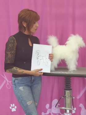 WhatsApp Image 2019-11-06 at 10.30.15(3).jpeg