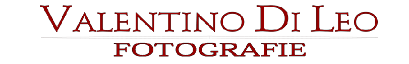Valentino Di Leo